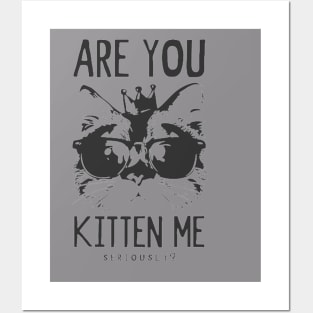 Are you Kitten Me? Posters and Art